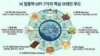 브레인 푸드 인포 이미지