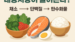 식사 순서에 대한 인포 이미지